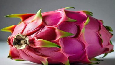 Dragon-fruit. Jpeg