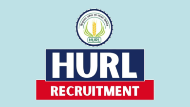 Hurl recruitment 2024