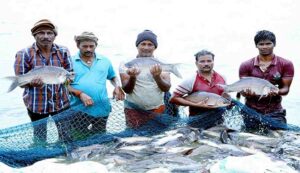 Prime minister's fisheries scheme