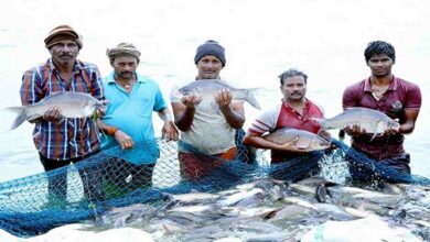 Prime minister's fisheries scheme