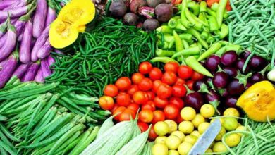 Vegetable cultivation