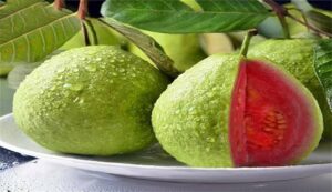 Pink guava cultivation