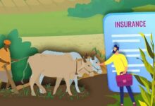 Crop Insurance Scheme