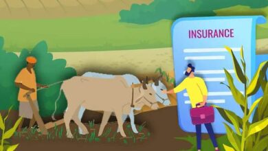 Crop Insurance Scheme