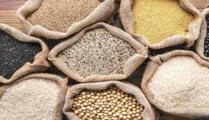 Cultivation of pulses