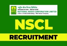 NSCL Recruitment 2024