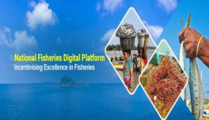 National digital platform