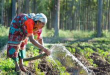 Natural farming