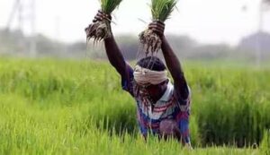 Pm crop insurance scheme