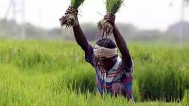 Pm crop insurance scheme