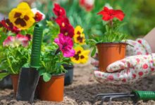 Winter Gardening Tips