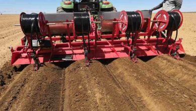 Raised bed machine farming