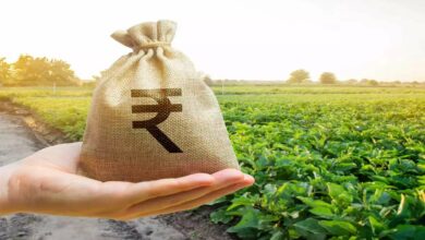 Subsidy on fertilizers