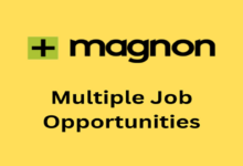 Magnon group recruitment 2025