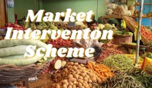 Market intervention scheme