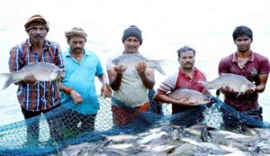 Prime minister fisheries scheme