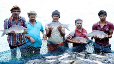 Prime minister fisheries scheme