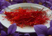 Success story in saffron cultivation