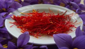 Success story in saffron cultivation