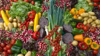 Vegetables farming